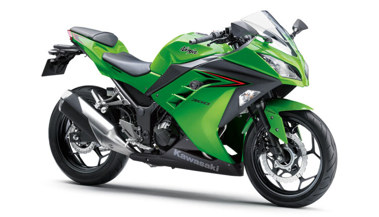 NINJA 300 2024