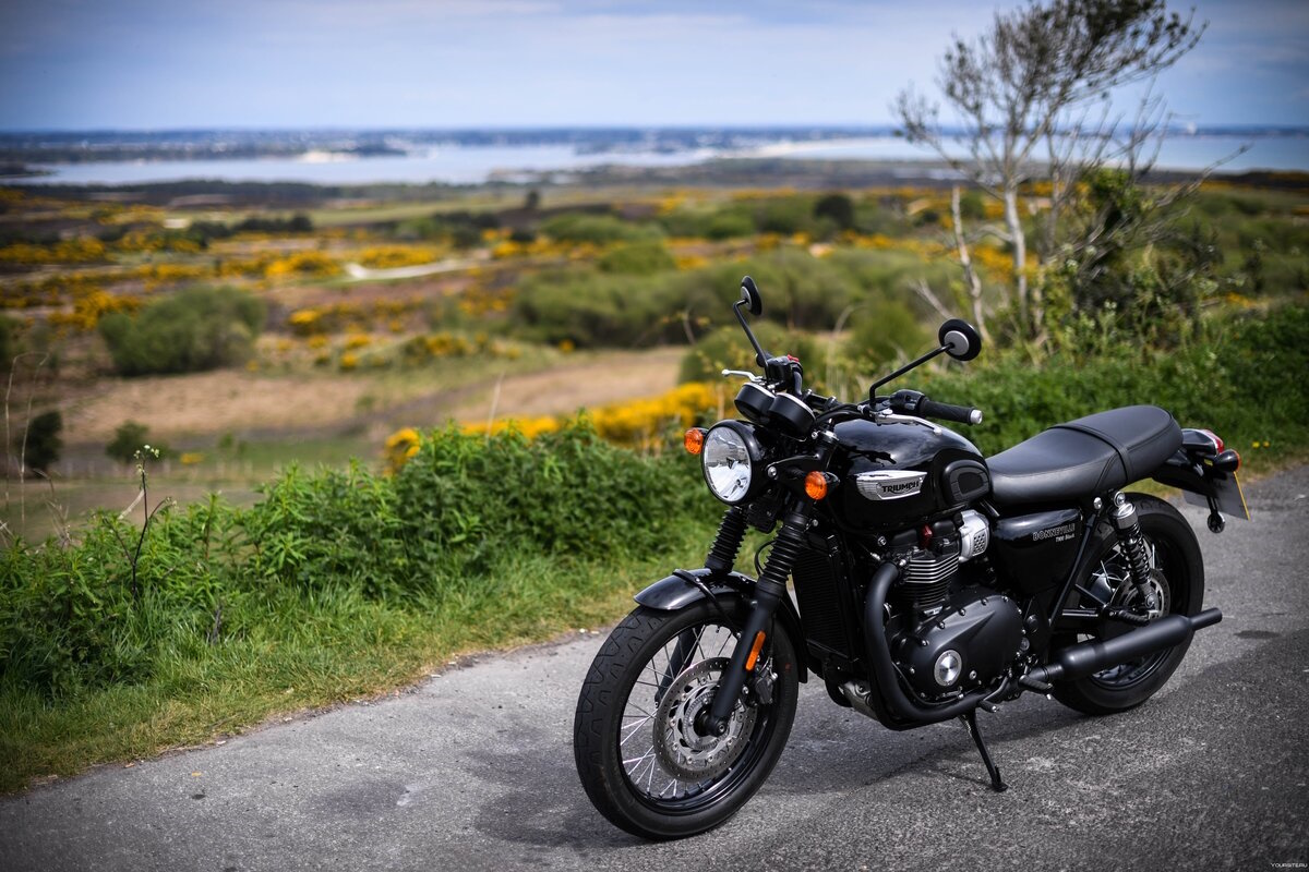 motos 600 cilindradas - Triumph Bonneville T 100